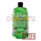 Treaclemoon Cucumber cactus cool Bath &amp; shower gel - Гель для душа  Освежающий кактус, 500 мл - 21-0036